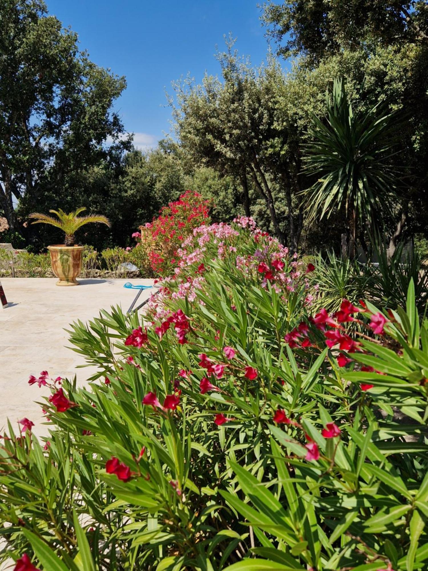 La Cigaliere Villa LʼIsle-sur-la-Sorgue Buitenkant foto