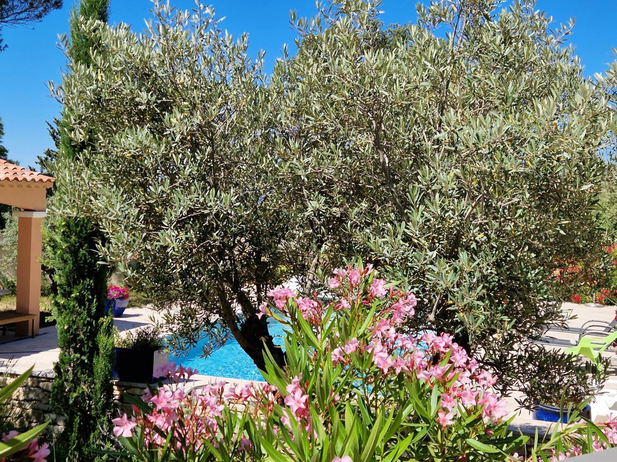 La Cigaliere Villa LʼIsle-sur-la-Sorgue Buitenkant foto